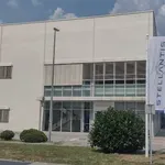 Stelantisov pežo i džip odlaze u Kinu: Šta će biti sa Fijatom u Kragujevcu?