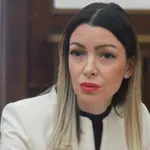 Mesarović: Deset programa za malu privredu, od 40 do 100 odsto bespovratnih sredstava