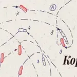 29. FKM bez međunarodnih učesnika