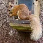 ‘Jezička greška’: Festival prirode pomešali sa nudističkim događajem