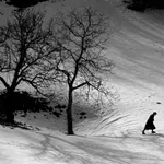 Reditelj Gregor Božič u fokusu dvanaeste revije Dani slovenačkog filma