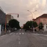 „Pobeda koju smo svi sanjali”: Građanska incijativa posle dve i po godine dokazala da je postavljanje kaldrme u Ćupriji nezakonito
