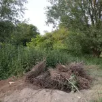 Da li je telo Nešovića premeštano i počinje li zbog toga novi mafijaški rat u Srbiji?