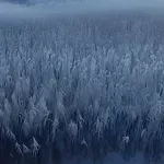 Nova 3 regionalna instrumentalna albuma kojima nisu potrebne reči da bi preneli poruku