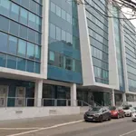 Više javno tužilaštvo u Beogradu pokrenulo istragu u vezi sa obrušavanjem zida u Vojvode Vlahovića
