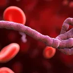 Šta je ebola: Simptomi, prenošenje i zašto svet strahuje od nove epidemije