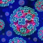 Šta je hantavirus – infekcija zbog koje su preminule tri osobe na kruzeru?
