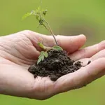 Udruženje iz Niša daje građanima besplatno zemlju i uči ih da sade baštu