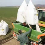 Zbog rata SAD s Iranom obim svetske trgovine veštačkim đubrivom opao za 30 odsto