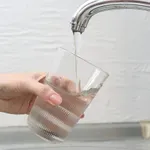 Toksična voda u bunarima u Surčinu