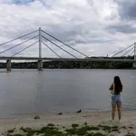 Dunav ponegde kao potok: Dramatične fotografije iz Srbije i regiona