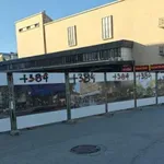 Novi Sad opet osvanuo išaran: Po centru ispisani grafiti precrtanog broja +384