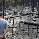 Ruski ‘Iljušin’ i helikopteri EU gase požare u Srbiji, hoće li konačno kiša