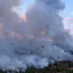 Gori 1.500 hektara šume u Deliblatskoj peščari, situacija teška i neizvesna