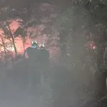 Požar u Deliblatskoj peščari i dalje aktivan