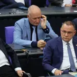 Koja etiketa bolje pristaje stranci AfD?