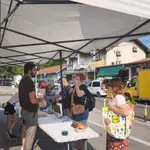 Mediji izveštavaju o manjim incidentima između aktivista SNS i Studentske liste