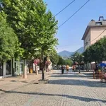 Slađan Ristić: Nije tačno da je postignut dogovor o isplati zaostalih ličnih dohodaka bivšim radnicima „Koštane“