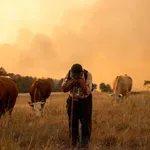 ‘Kao da hodam po vulkanu, požari izbijaju iz zemlje’: BBC u Deliblatskoj peščari