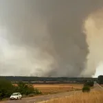Dok Deliblatska peščara gori, nestaje mnogo više od šume: Ovo je jedan od poslednjih velikih ekosistema Panonske nizije