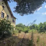 Tamo gde je rođen Nikola Jokić i nastao „Semper Idem“