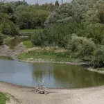 Dunav sve plići, apel u Srbiji, Mađarskoj i Rumuniji da se struja troši racionalnije