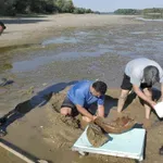 Neverovatno otkriće u Dunavu: Stanovnici sela u Bugarskoj odmah pozvali stručnjake