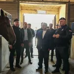 Dačić: Konjanici MUP-a treba da budu vidljiviji na ulicama Beograda, da ih građani upoznaju (FOTO)