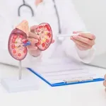 Savremene terapije produžavaju život obolelih od raka bubrega, ali u Srbiji nisu dostupne svima