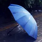 Noćas kiša u delovima zemlje, sutra promenljivo oblačno vreme