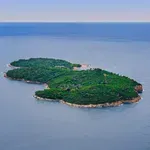 Neobičan prizor u Kanadi: Ostrvo puno drveća pluta jezerom, niko ne zna odakle se stvorilo