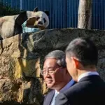 Poruka se možda krije u manipulaciji: Profesor Čelani o kineskoj „panda diplomatiji“