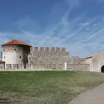 Mašina: Broj birača prijavljenih za glasanje van biračkih mesta u Kladovu porastao je sa 115 na 425 za jedan dan
