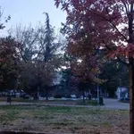 Šatori ponovo „niču“ u Pionirskom parku, kreće i okupljanje (VIDEO)