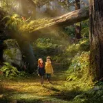 Studio iza „Koraline“ ima novi hit: „Wildwood“ dobio 100 odsto pozitivnih kritika