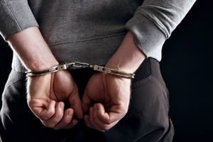 Ухапшено 12 лица због педофилије