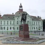 Избори за савете месних заједница у Зрењанину и селима