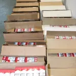 V naši soseščini odkrili eno največjih ilegalnih tovarn, njihovi zaslužki so bili astronomski
