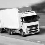 Tovornjakar, ki dela v Nemčiji, pokazal, koliko dejansko zasluži: "Tisti, ki pravijo, da ni tako, lažejo," je bil odločen