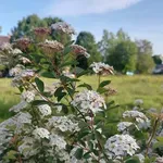 Znano je, kakšno bo vreme na praznični ponedeljek in kdaj lahko pričakujemo prve nevihte