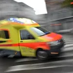 Sredi ceste se je odvijal boj za preživetje - policista hitro ukrepala