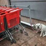 "Mercator, kaj se pa greste?!" se sprašuje gospa, ki jo je ta odločitev znanega trgovca zelo razburila (pa ne samo nje)