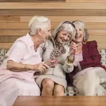 Nevrolog razkril: "Ljudje z najboljšim zdravjem možganov imajo eno preprosto navado"