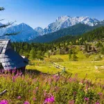 Zastrupljajoča tišina na Veliki Planini se je končala s tragičnim odkritjem: večdnevno iskanje tujca razkrilo najhujši scenarij!