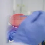 Smrtonosni virus spet udaril z vso silo - oblasti nemočne pred redkim sevom, zanj ni zdravila!