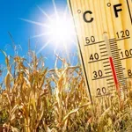 Čaka nas pasja vročina: temperature bodo vsak dan višje, pojavile se bodo tudi nevihte