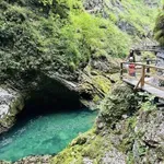 Namesto idiličnega izleta utrpela hude poškodbe možganov, zdaj od Slovenije zahteva pol milijona evrov!