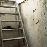 Štirje člani iste družine drug za drugim odšli v klet in vsi umrli: pokončal jih je tihi ubijalec