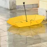 Napoved, ki jo morate prebrati, preden se odpravite od doma