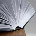 Izbrali besedo leta: na izbiro močno vplivalo dogajanje v digitalnem okolju